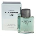 Туалетная вода PLATINUM ICE for MEN, 100 мл 11284 - фото 1773